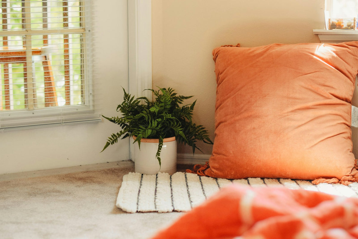 Cozy corner with cushion and plant