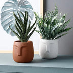 Amra Sculpted Face Plant Pot