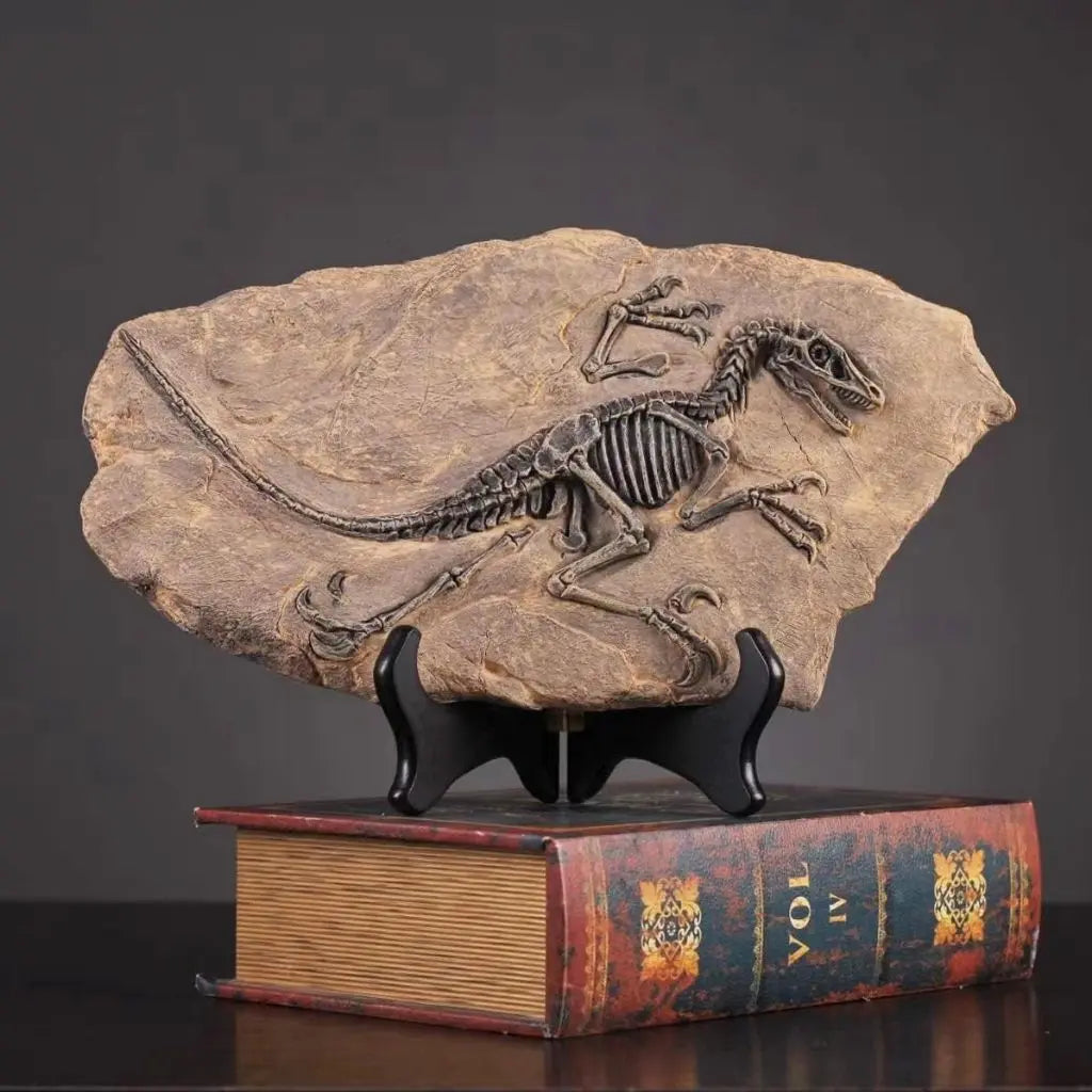 Dinosaur Skeleton in Stone - Fossil Art Series