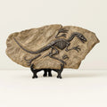 Dinosaur Skeleton in Stone - Fossil Art Series