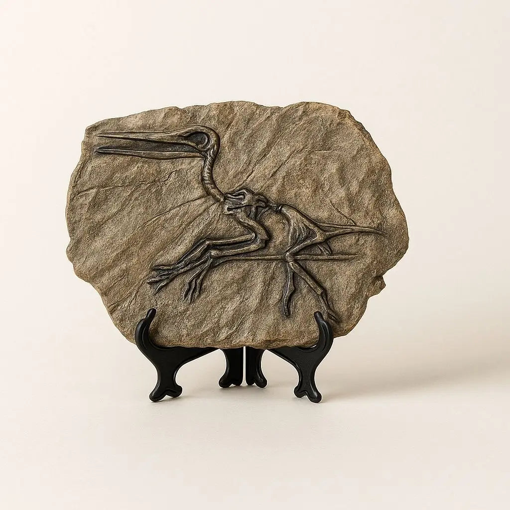 Dinosaur Skeleton in Stone - Fossil Art Series