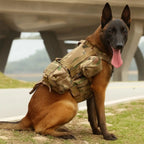 Logan Tactical Dog Harness Vest