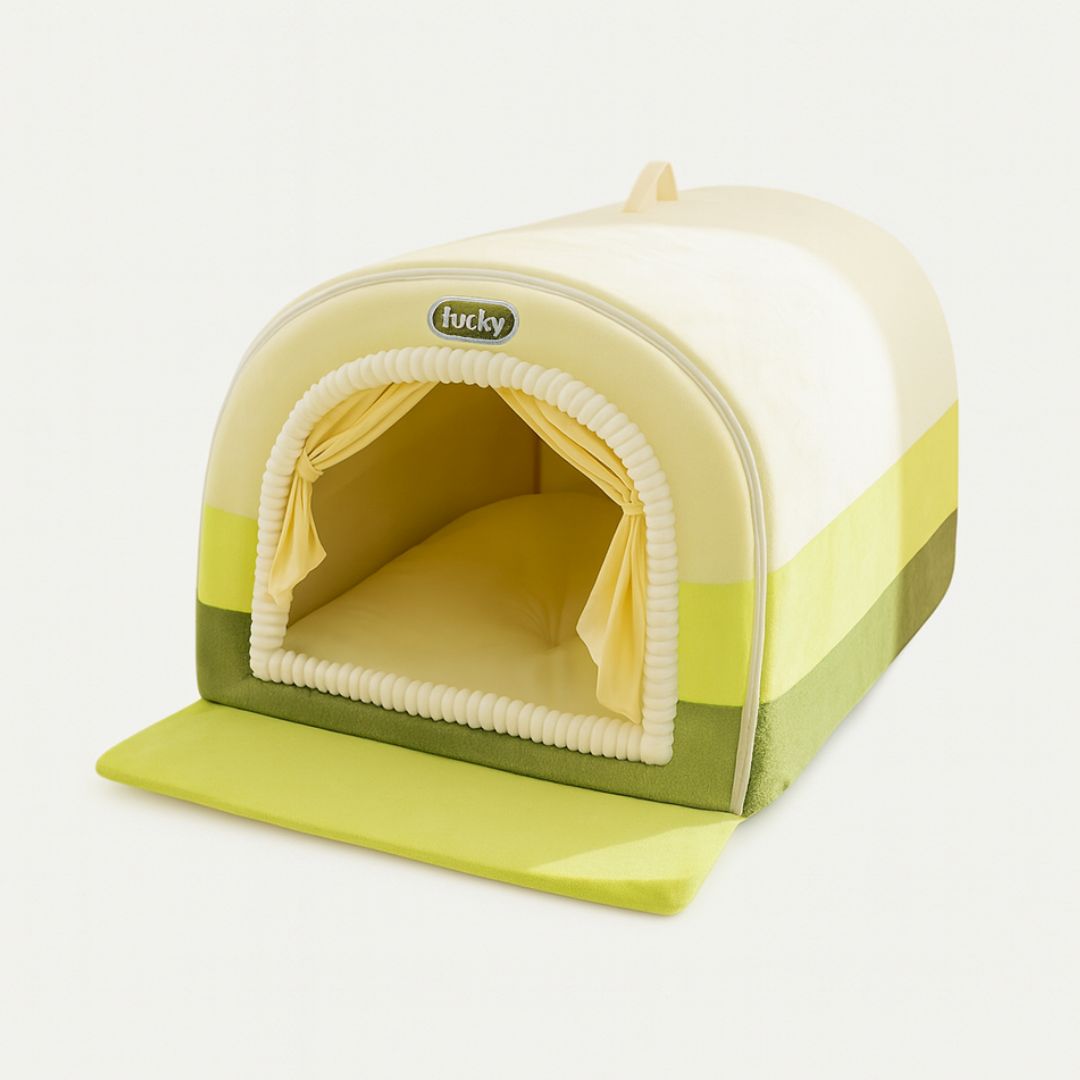 Hippie Painted Pet House