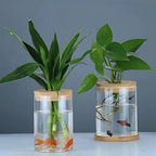 Clara Hydroponic Glass Vase