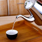Evan Stainless Steel Coffee Pot – Modern Pour-Over Kettle