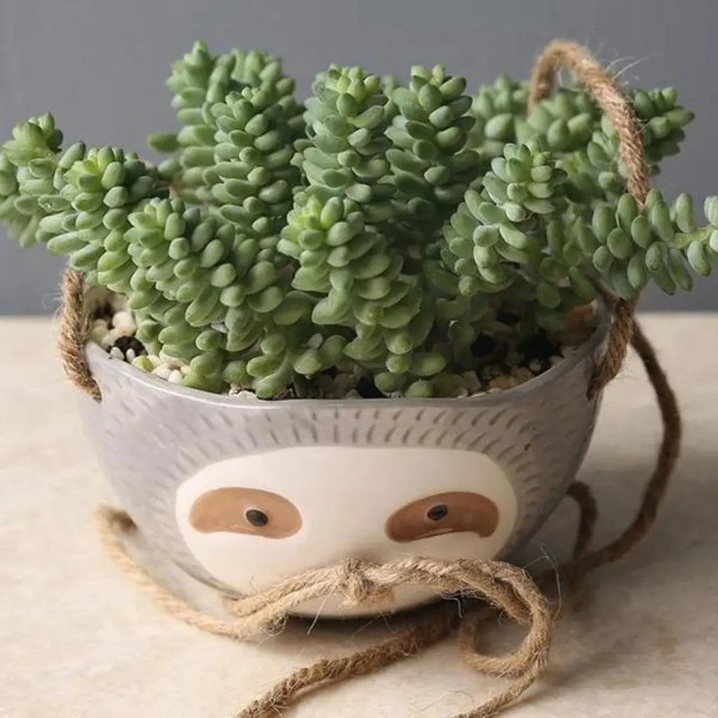 Sloth Hanging Planter Pot