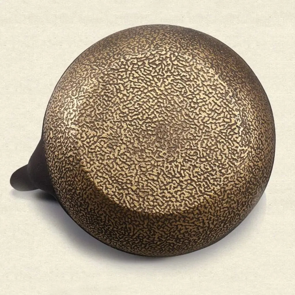 Iwachu Japanese Cast Iron Teapot – Handmade Tea Kettle
